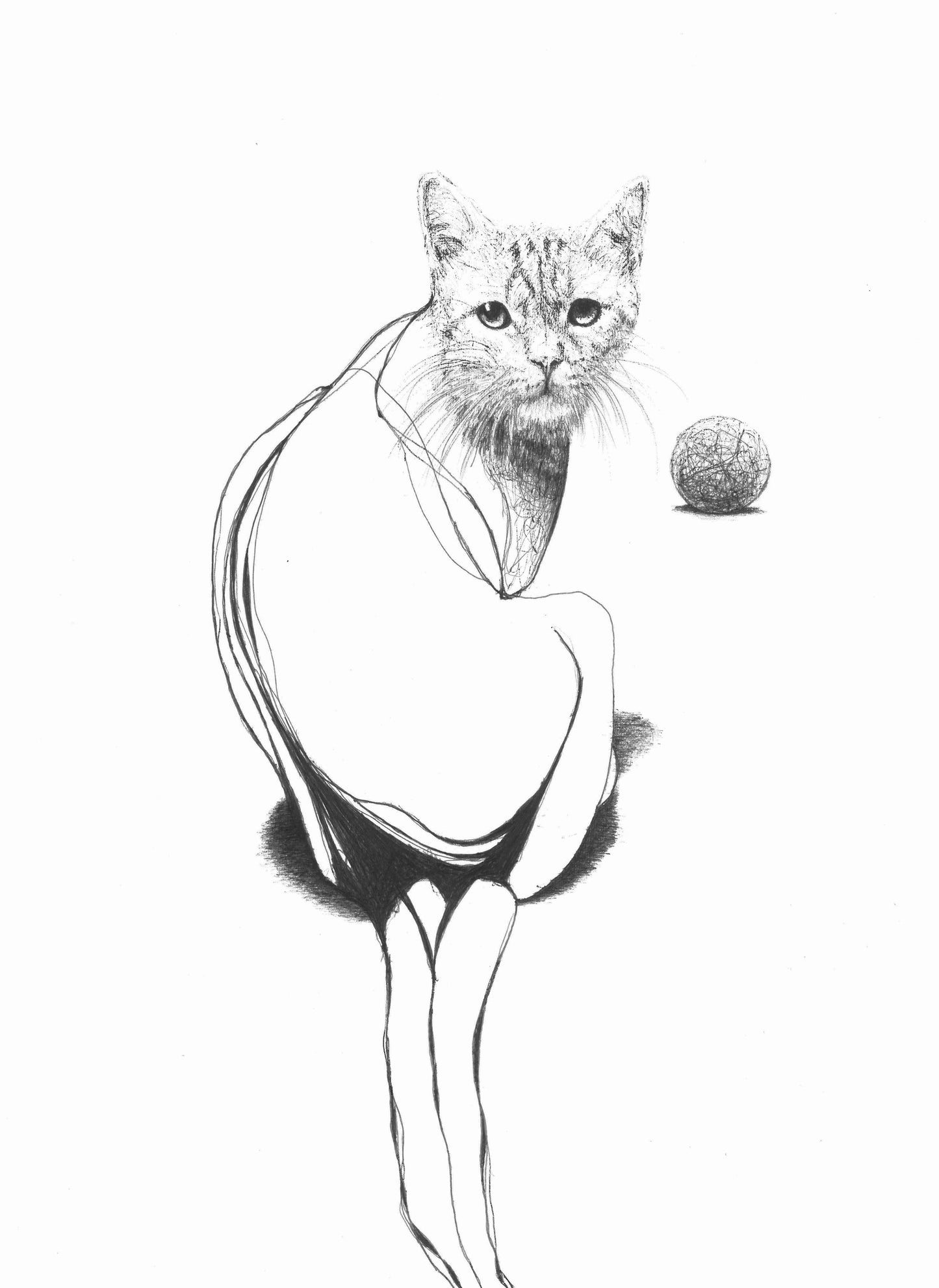 Mr. blond (Original)