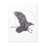 Raven (Canvas Print)