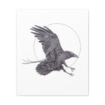 Raven (Canvas Print)