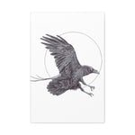 Raven (Canvas Print)